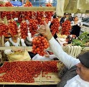 Salone del gusto 2014